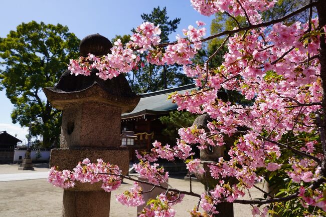 淀城跡公園の隣に、わりと大きなお宮さんが見えますね。お参りに行ってみますと… 與杼神社。なんて読むのかしら？