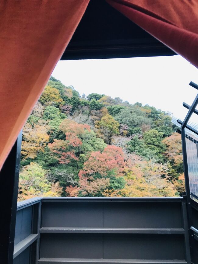 箱根の四季を感じるため、紅葉の季節に、お気に入りのゲストハウスを訪問しました