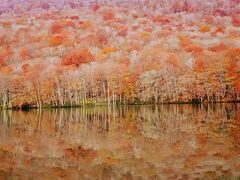 Go to 青森で山と温泉(1)　－八甲田登山と紅葉の蔦沼