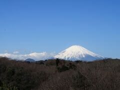 中井中央公園(神奈川県中井町）へ・・・