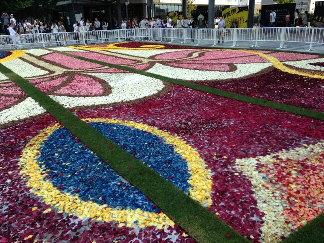 日頃の感謝を込めて！主人の誕生日プレゼントで東京へ★備忘録の東京スカイツリーと2021年春の花便り♪