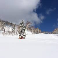 2019年 春スキー キロロ まだまだシーズンですっ！ 4泊5日