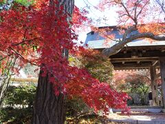 紅葉寺の薬王寺へ行って来ました♪