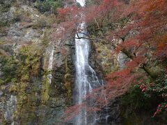 大阪・紅葉の箕面大滝まで、滝道を歩く。