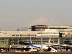 どこかにマイルでどこに行く？旅の序章は羽田空港