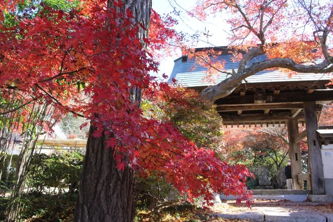 朝の情報番組で某お天気キャスターが、<br />こちらのお寺から紅葉の生中継をしていたのを観て、<br />「茨城県にこんな素敵なお寺があるんだ~!!行ってみたい」と思い、<br />休みを利用して、両親を連れてドライブがてら日帰りで行って来ました。<br /><br />曛静山薬王寺⇒富谷山ふれあい公園⇒施無畏山小山寺<br />⇒珍来 谷田部IC店(昼食)<br />