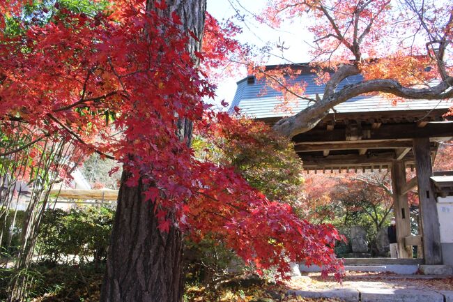 朝の情報番組で某お天気キャスターが、<br />こちらのお寺から紅葉の生中継をしていたのを観て、<br />「茨城県にこんな素敵なお寺があるんだ～！！行ってみたい」と思い、<br />休みを利用して、両親を連れてドライブがてら日帰りで行って来ました。<br /><br />曛静山薬王寺⇒富谷山ふれあい公園⇒施無畏山小山寺<br />⇒珍来　谷田部IC店（昼食）<br />