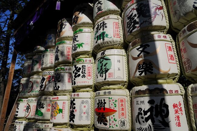 今年になっても、新型コロナウィルス感染症の感染拡大に伴う緊急事態宣言の再発出の影響で、遠出が思うように出来ない。<br />とは言え、旅好きとしては、さすがにここまでお預けを食らうと気が滅入る。<br />そこで、地元を通る高崎線の沿線を歩いてみることにした。<br />まずは、高崎線の起点である大宮駅界隈を歩くことにする。<br />とりあえず、歴史散歩と言うことで、西口から史跡を巡りながら氷川神社を目指すことにした。