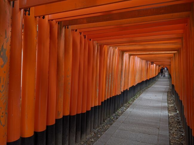 京都観光(伏見稲荷大社＆金閣寺)①伏見稲荷大社