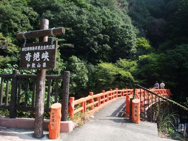 また土日にいつもの紀伊田辺に潜りに行ってきました。<br /><br />でも土曜日は雨<br />透明度も10ｍそこそこで濁っていたので、マクロダイブでした。<br /><br />それでもイサキやタカベの大群が、びゅんびゅん現れ、その背後からブリの群れが！！<br />めっちゃ早くて写真をちゃんと撮れなかったけど、すごい迫力で面白かったです～(*´▽｀*)<br />ブリアタックが何回も続くと、どんどんイサキ玉が小さくなっていったけどね・・・。<br /><br />日曜日は晴れたけど、海のコンディションがもっと悪くなったので、もう潜らずに遊んで帰りました。<br />今まで何回も来てた紀伊田辺で初めて「奇絶峡」を訪れました。<br /><br />