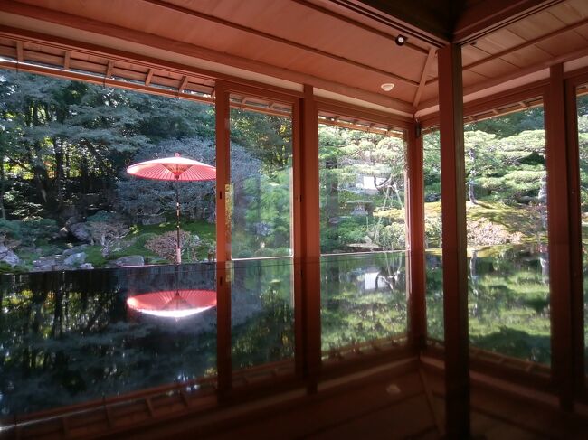 近場でのんびりしたくて、大原三千院、延暦寺、旧竹林院、日吉大社を巡りました。お宿は、ロテルド比叡です。