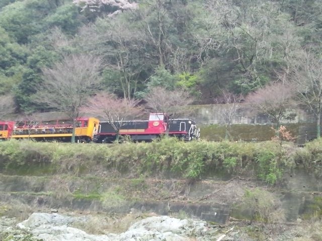 2013年3月　北松尾山（嵐山 旧船曳道）ハイキング