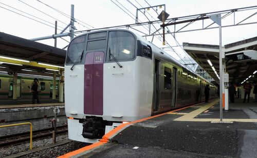 □215系・1次車『湘南ライナー(快速アクティー)』10両セット□A-0020