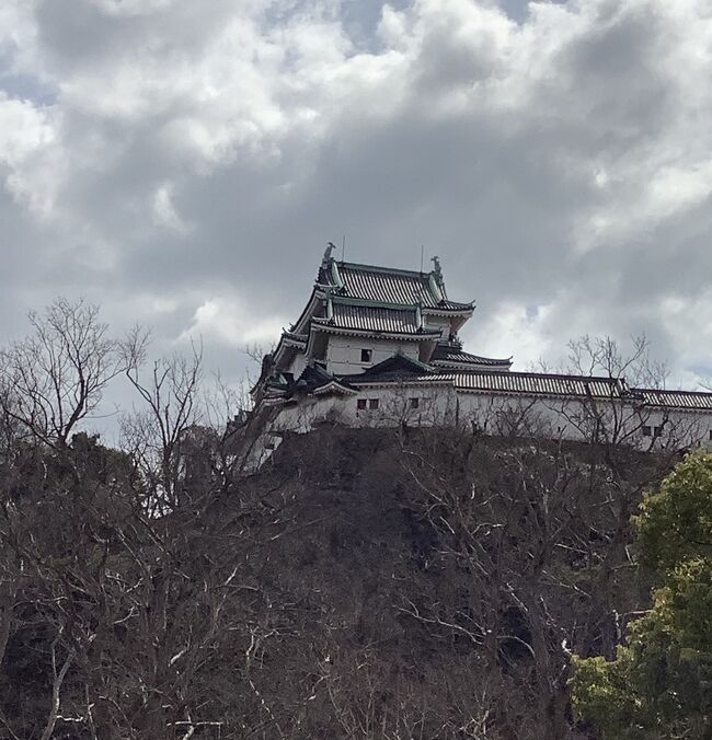 白浜周辺を少しドライブした後そのまま帰るには早すぎるので再び和歌山市に戻りました。