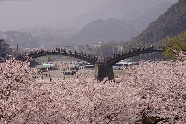 7年に一度の岩国・行波の神舞。そして中国地方を代表する桜の名所、錦帯橋と安芸の宮島。