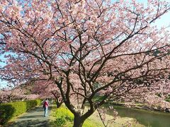 伊豆２０２１早春旅行記　【３】南伊豆１（松崎・下賀茂・石廊崎他）