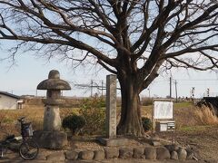 旧東海道自転車探訪　その弐　（42桑名宿～46亀山宿）