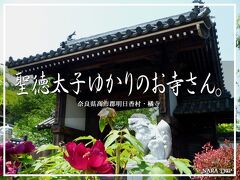 飛鳥の旅行記