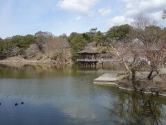 志賀直哉旧居から奈良公園を散策。ひさしぶりで鷺池・浮見堂周辺を歩きました。