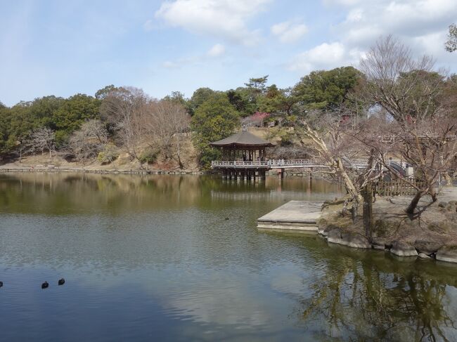 新薬師寺から，奈良公園を通って，奈良ホテルまで歩きました。浮見堂，鷺池を見て回りました。