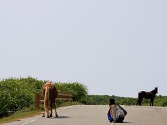 2011年夏：最果てマニアが沖縄の離島巡りをした話の３日目（2011.9.7）