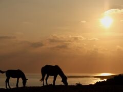 2011年夏：最果てマニアが沖縄の離島巡りをした話の４日目（2011.9.8）