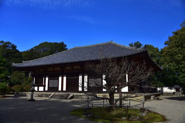 秋篠寺を訪ねてみました。<br />秋篠寺と言えば、伎芸天さまで有名な寺院です。<br />目的はその伎芸天さま。<br />ところが、境内の美しさも期待以上の秋篠寺でした。