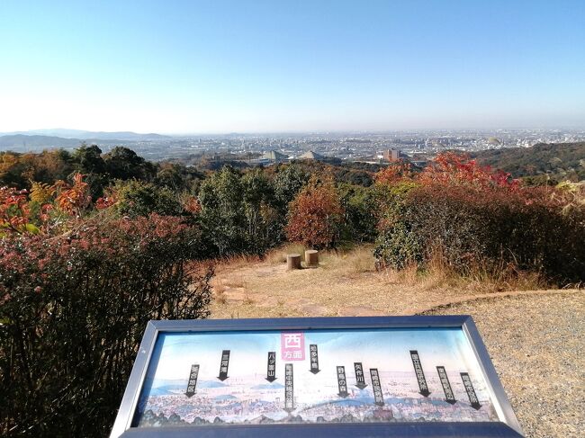 岡崎市東部に広がる丘陵地の入口にある岡崎中央総合公園。その中の「健康の森」をウォーキング～。散策コースがいくつもあり(全長6,500ｍ、標高差約130ｍ)、展望台も点在。<br />どのコースもさほど距離はなく険しくもないのでどなたでも手軽に楽しめると思います。紅葉真っ最中のいい季節、天候にも恵まれとても気持ちよく歩けました。