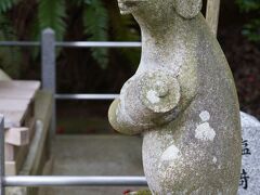 20210309-4 京都 大豊神社では、ネズミとヘビ、サルとトビにも逢えます。立派な梅も見頃。