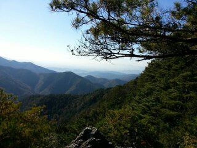 11/30(土)<br />2週間ぶりにジム友Ｕ子ちゃんと2人で、京都の金毘羅山を登りに行ってきました。<br />目的は山よりも下山後の大原観光？いや、食べ歩き(*´σｰ｀)ｴﾍﾍ<br />もみじ紅葉も見頃のピークを過ぎてしまってるので、人もまばらでほとんど居らず・・・(;・∀・)<br /><br />今回のコース<br />[ｽﾀｰﾄ]戸寺バス停～元井出橋～江文神社～江文峠～琴平新宮社～金毘羅山山頂<br />～翠黛山～寂光院～三千院～[ｺﾞｰﾙ]大原バス停<br /><br />