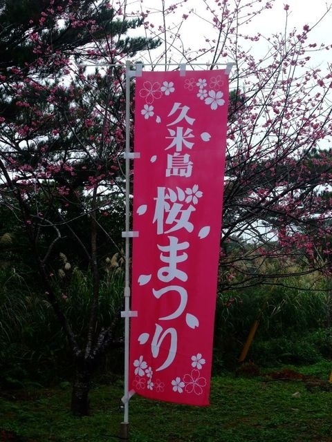 1/25(土)～27(月)<br />激安ツアーを見つけたので、2泊3日の遅行き早帰りの弾丸で、楽天がやって来る前の静かなオフシーズンの久米島へ行ってまいりました。<br /><br />気温は17～23℃くらいあったけど、雨が降ってて風が強くて超寒かったです。だけど中1日とはいえ、ダイビングも観光も満喫してきました♪ヽ(´▽｀)/