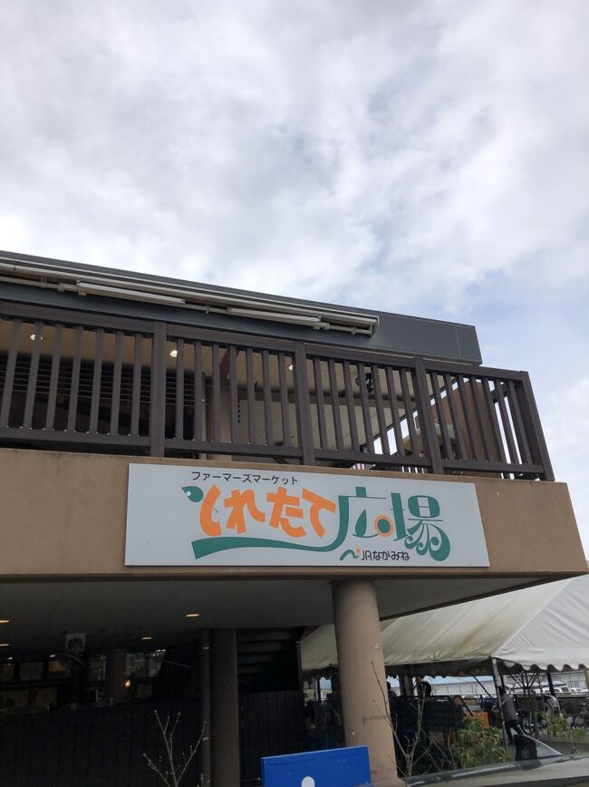 月に1度は海南へ行っています。どこに行っても落ち着く空間なので、癒しを求めて行っています。