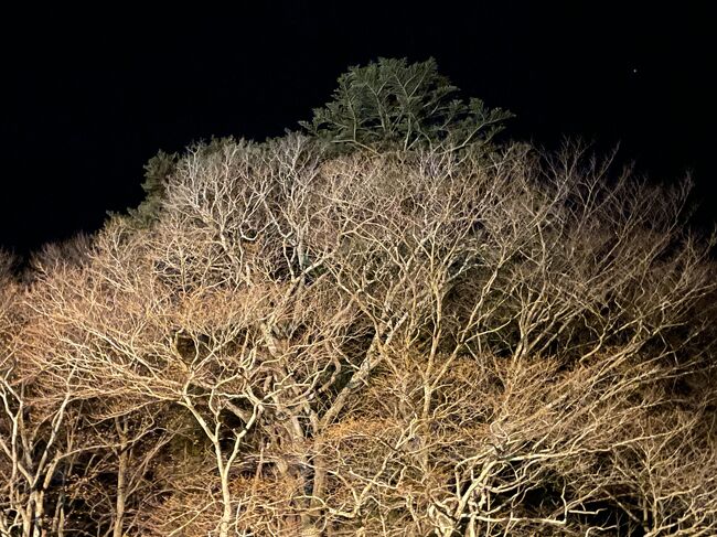 昨年の山梨県「坐忘」に続き、今年の冬の温泉旅行は、初訪問となる栃木県塩原。塩原一と地元でも評判のこちら「湯の花荘」を利用してみました。