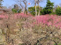 お得な「歩くまち・京都 レールきっぷ」を利用して、京都の梅園巡りとグルメを楽しんだ2021年3月