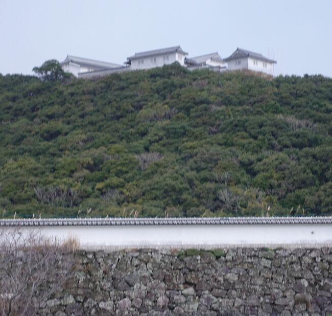 近年めざましく整備が進んでいる富岡城を見たくなり思い立って急遽旅に出ることにした。<br />富岡城といえば天草島原の乱のその後の明暗が決定づけられた場所。<br />それならばキリシタン関連のものも一緒に見よう。<br />ついでに可愛いイルカちゃんに癒されよう。<br />そんな欲張りの旅です。<br />時節柄武漢由来の病の対策は万全にしました。<br />マスク手袋と機内や車内はオーバーグラスを着用。<br />食事は基本ホテルの部屋でとる。<br />外食の場合は店内が空いているとか空間にゆとりがある場所に限ることとした。<br />移動は乗り物好きなので公共交通機関を利用した。