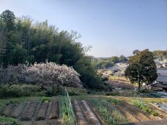 一人で歩くいつもの散歩道～人のほぼいない場所でストレス発散(^ム^)