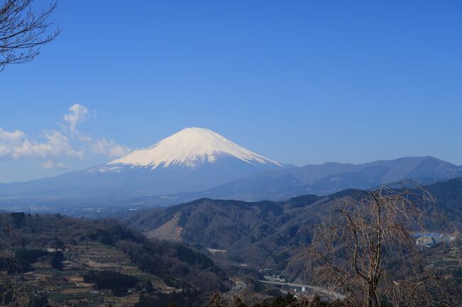 天気が良かったので富士山を見に山北つぶらの公園へ。<br />1月に購入した車のナビにデータがなかったので道端にある<br />看板をたよりに行ってきました。ここは山の上のようなところにある<br />公園でした。晴れてたので見晴らしも良かったです。<br />行き帰りは、違う道を利用しましたが道幅が狭いところがあり<br />対向車が来ると大変です。<br />休園日や駐車場の利用時間もあるようなので、行く場合は調べて<br />行った方が良いです。<br />駐車場は無料でした。