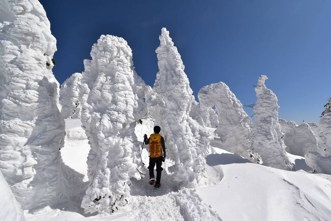 冬の西吾妻山へ登ってきました。<br /><br />これで3度目ですが、真っ白に雪化粧した広大な稜線はやはり素晴らしい景色でした。そして冬の西吾妻山と言えば、やっぱり樹氷！大きさや形様々なスノーモンスターが所狭しと立ち並んで、そこはまるで異世界空間。何度見ても感動します。<br /><br />ここはスキー場のゴンドラとリフトを利用できて手軽に登れるので、また今後も登りに行きたいと思います。<br /><br />▼ブログ<br />https://bluesky.rash.jp/blog/hiking/nishiazumayama3.html