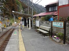 ほとんど地元・青梅線の駅を巡ってきた【その３】　白丸駅と川井駅と、森の中のお肉レストラン
