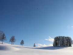 2021.3 春を待つ　雪景色の美瑛Ⅱ