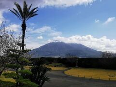 鹿児島　おっさん3人旅（1日目）