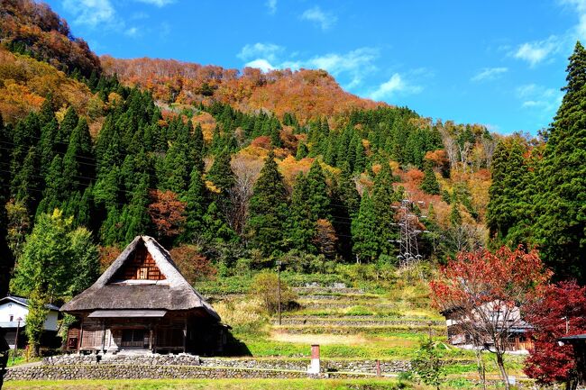 2018年11/3<br /><br />秋晴れの中，世界遺産　五箇山相倉合掌造り集落に行きました<br /><br />チョット，ややこしいですが，五箇山 は 40 の小さい集落の総称で「世界文化遺産」に登録されているのは富山県の相倉(あいのくら) と，菅沼(すがぬま) と，岐阜県の白川郷(荻町)の３集落で１つの世界文化遺産に登録されています。<br /><br />後は，帰り道の途中にある，庄川峡遊覧船で紅葉見物<br /><br />只，時期的にはチョット早かったようです