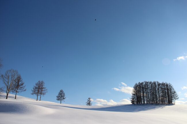2021年3月初め、暦の上では春ですが、北海道、そして美瑛町はまだ真冬と言っても良いくらい雪の中です。特に2月末の大雪で積雪は1mを超え、美瑛の丘の道路からは雪の壁を登らないと周囲の景色が見えない状態です。普段は景観の良いスポットには広い駐車場もあるのですが、この時季は全てと言っていいほど除雪していないので車は停められません。また、道路幅も狭くなりUターンもままならない時期でした。ただ、3月に入ると徐々に優しい春の陽が降り注ぐようになり、私も誘われるように近郊のドライブに出かけ、車窓から景観の良い丘を探しながら、写真に収めてきました。また、途中にJR美馬牛駅の様子や雪原の畑に融雪剤を撒く光景にも遭遇して春の散策を楽しみました。前回のⅠの旅行記で紹介したスポットともいくつか重なりますが、撮影の仕方や時刻や天候、空の様子等も微妙に変わっているので雰囲気を汲み取っていただければうれしいです。