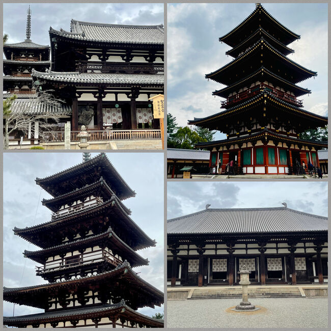 昨年　大阪滞在中に奈良を訪れた。<br />久々の奈良でもほんの片手間である。<br /><br />奈良って京都や大阪に比べ地味っていうか・・・<br />大阪や京都のついでに訪れる人が多いような・・・<br />修学旅行以降一度も訪れる事の無い人が大半ではないか・・・<br /><br />そんな奈良を今回はメインで訪れてみようと思います。<br /><br />ただ行程の導線上（ＪＲ奈良線）で京都の伏見稲荷や宇治平等院は訪れました。<br /><br />今回はＪＲ東海ツアーズの商品で出掛けてみました。<br /><br />3/3<br /><br />・三島　6：51　⇒　京都　9：34　こだま767号（7号車指定席）<br />・京都　9：49　⇒　稲荷　9：54　ＪＲ奈良線<br />・稲荷　10：42　⇒　宇治　11：06　ＪＲ奈良線<br />・宇治　13：51　⇒　奈良　14：18　ＪＲ奈良線　みやこ路快速<br /><br />奈良ロイヤルホテル泊<br /><br />3/4<br /><br />・奈良　11：30　⇒　法隆寺　11：41<br />・法隆寺　13：22　⇒　奈良　13：33<br />・奈良　16：23　⇒　京都　17：12　ＪＲ奈良線　みやこ路快速<br />・京都　18：10　⇒　三島　20：49　こだま748号（10号車グリーン車）