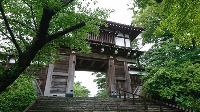 角館からこまちで再び秋田に昼前には戻り、15:35のフライトに間に合う時間まで秋田市内を散策した。3時間にも満たない時間の中で秋田市内を周遊した上、降雨により機動力が損なわれたため、訪れる場所も久保田城址を中心に限定的となった。<br /><br />久保田城は関ケ原合戦後に佐竹氏がこの地に転封されて築城された。土塁を多用した城で、土塁の曲輪により描かれた曲線がとても美しく思わず見とれてしまう。曲輪の一部を整備し、城門や櫓などを復元すれば一層久保田城址の魅力も上がるだろう。今のままでは宝の持ち腐れと言ってもよいが、今後の復元に期待したい。<br /><br />