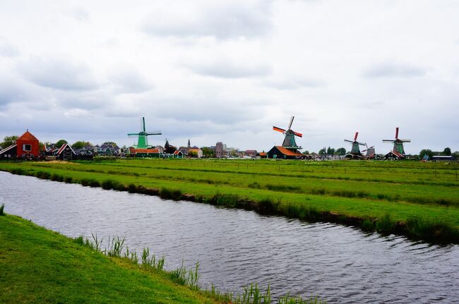 ゴールデンウィークに、オランダのチューリップと美術館巡り8日間⑧。ザーンスカンスの風車４日目後半