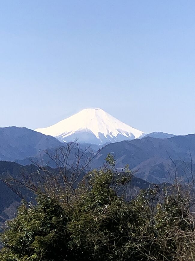 昨日の春の嵐も収まり、晴天で暖かくなるとの予報やったんで、超久しぶりに「うかい鳥山」さんの予約も取れたことやし、お腹空かせて行きたいので高尾山ハイキング敢行！<br />山頂から富士山もきれいに見えたし、火渡り祭も見れた(^_^)