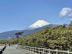 2021年 東海道五十三次・旧街道を歩く-八日目（12.沼津宿～13.原宿～14.吉原宿）