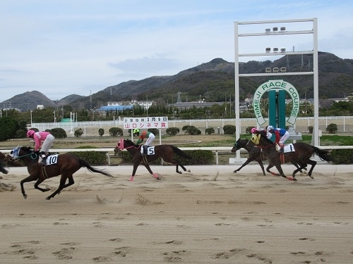 ずっと姫路競馬場は場外馬券場としてで、競馬は主催されていないと思っていました。<br />丁度移住したとき工事中だったようで、その後ちゃんと競馬場としてやっていたようですね。<br />たまたま、ニュースで見てあれ？馬いるの？？？<br />と、ゆうことで馬を観に行ってきました。<br /><br />この日は3レース見ただけですが、競馬場は入場料もなく、バスも無料なのでまた観に行こうと思います。<br /><br /><br />姫路競馬場は１，２階が馬券売り場。3，4階がスタジオ・卓球場。５階は有料席。<br /><br />４階の卓球場の受付でお土産が買えます。ほとんど何にもない、ひめたんとそのたんのマスコット、缶バッチ、タオルくらい。<br /><br />