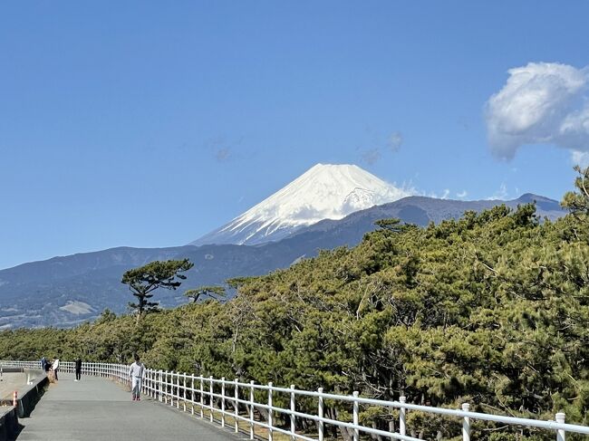 東海道を歩いて一気に制覇するのは時間的に難しい。<br />でも区間を決めて少しづつ何度も通いながら進めていけば制覇することは可能かもしれない。京都に着くのはいったいいつになるかわからないが歩き始めることにした。<br />8日目は沼津から吉原をめざす。